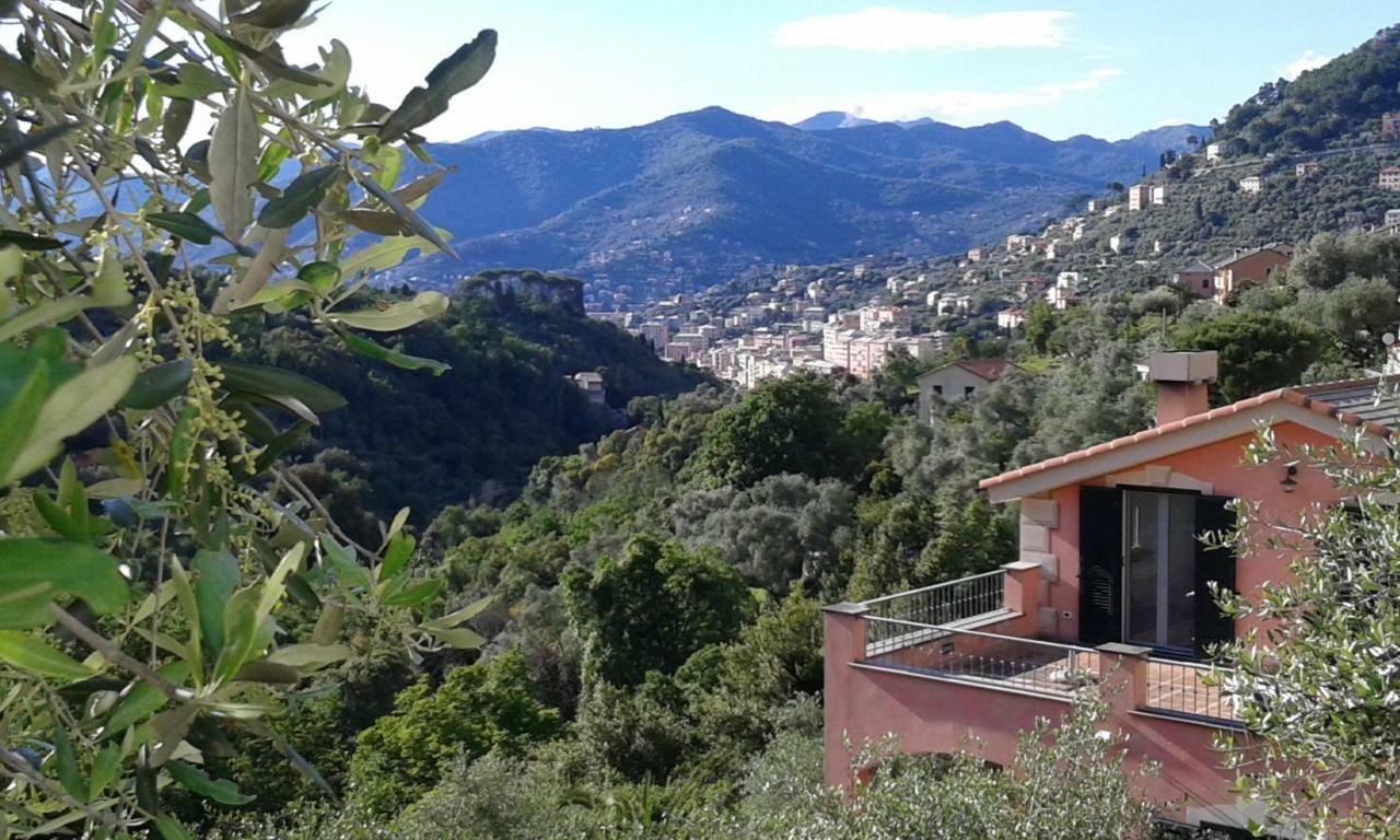 Villa Albachiara Camogli Exterior photo